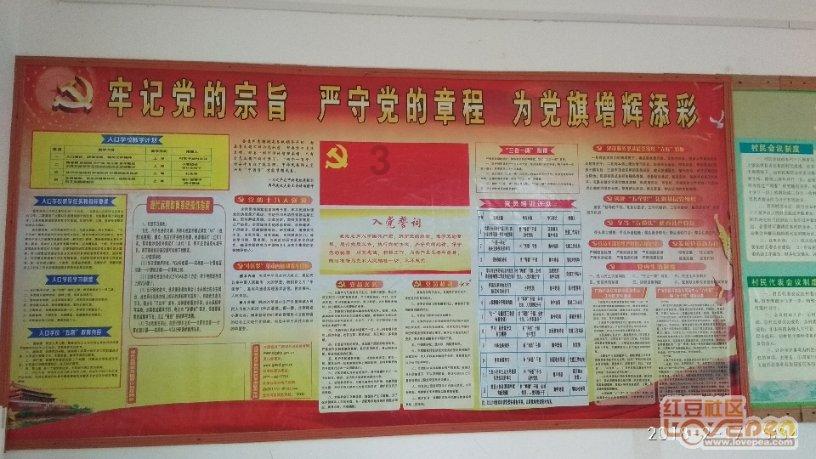 厉害了我的巧虎8